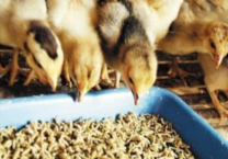 勃誠除塵設(shè)備 勃誠除塵設(shè)備