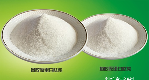 1679558863561274.jpg 1679474351252.jpg